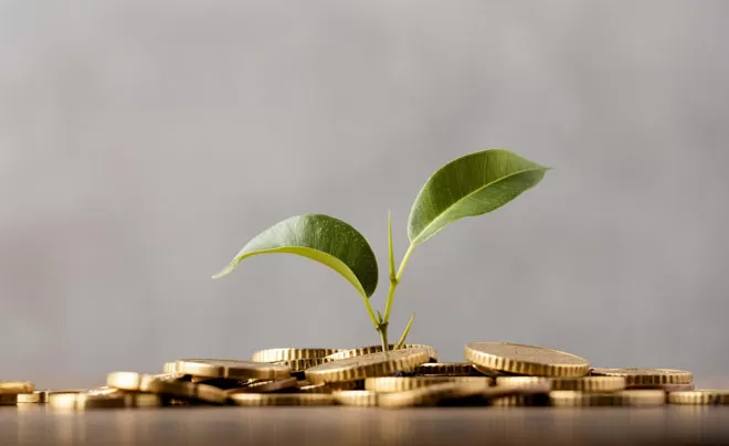 Sức mạnh của người trồng cây giữa một thế giới chạy nước rút